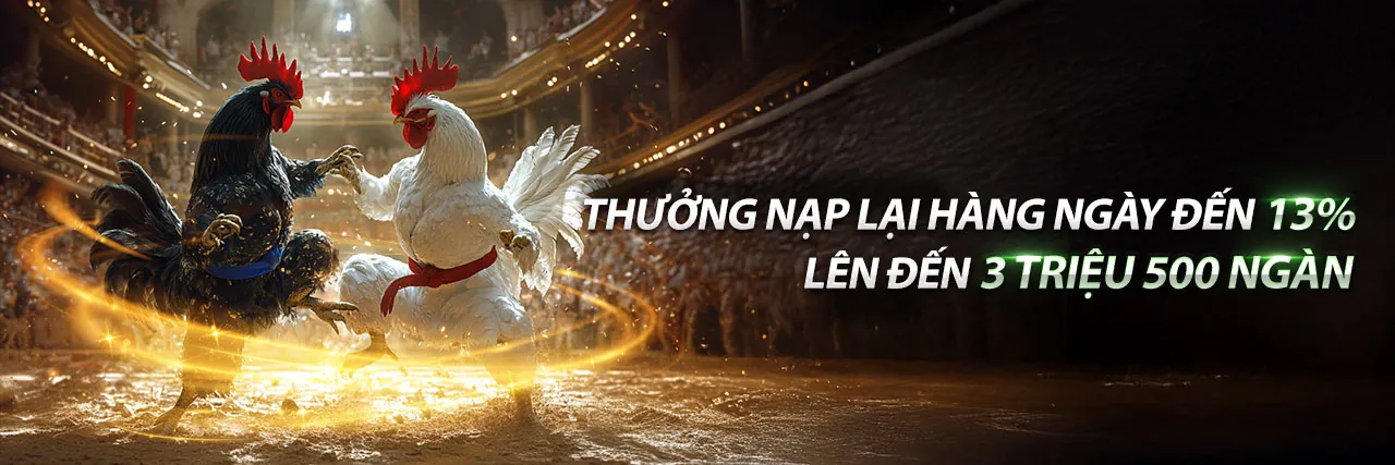 Đá Gà Trực Tuyến Hấp Dẫn tại betcom888