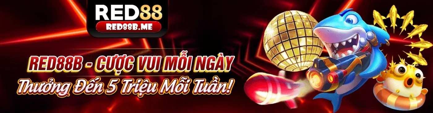 Hình ảnh minh họa chính sách bảo mật của betcom888